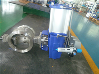 氣動(dòng)調(diào)節(jié)對(duì)夾式V型球閥VQ677H-16P